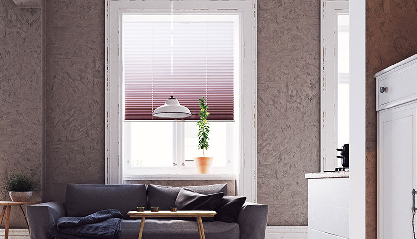 Pleated Blinds