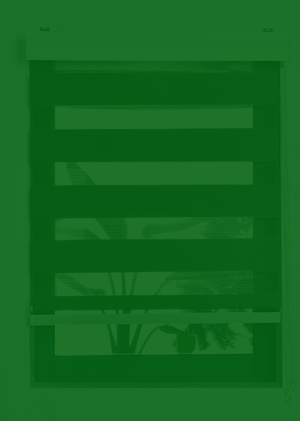 Zebra Blinds
