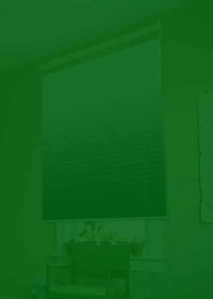 Pleated Blinds