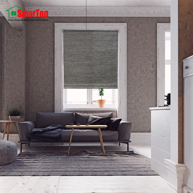 Manual Operation Polyester Roller Blind Day and Night Blackout Curtain for Home Window Shades & Shutters