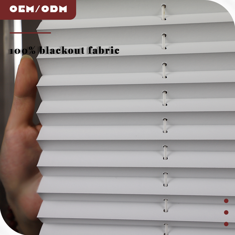 Custom Eco-friendly Pleated Blinds for Home Decoration Day&Night Shades Easy Fix Blinds Curtains in Custom Colors