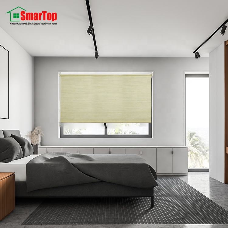 High Quality Polyester Translucent Manual Roller Blinds Free Sample Office Use Fabric Material Rope Format Plain for Windows